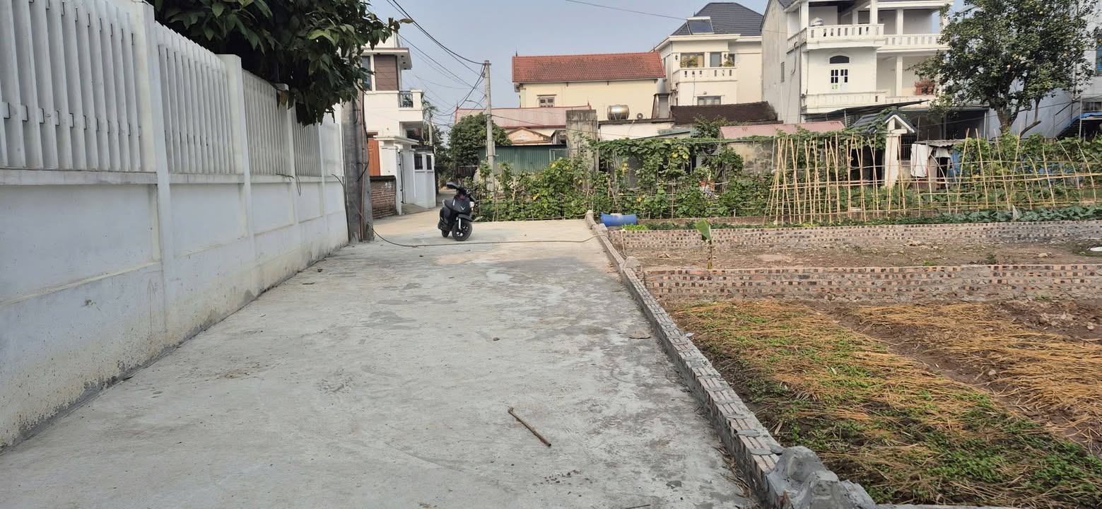 Đất nền Kiều Phú, Thạch Thất 99m² giá 3x triệu - Sổ hồng sang tên ngay!