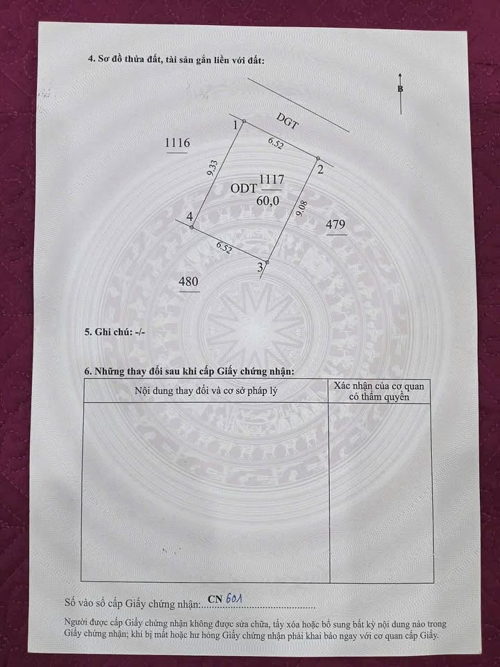 Đất thổ cư 60m² tại Trần Hưng Đạo, Hưng Yên - Mặt tiền rộng, ô tô vào tận nơi!