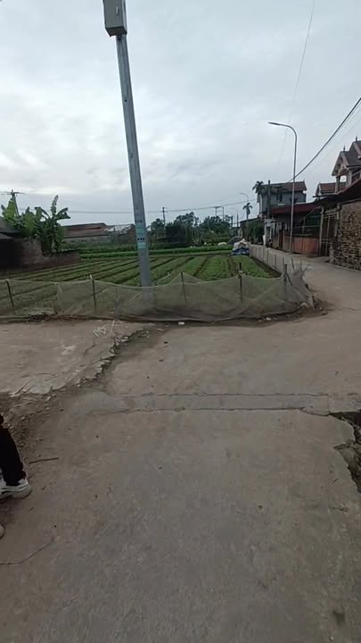 Đất thổ cư 104m² tại xã Mễ Sở, Văn Giang - Giá tốt nhất thị trường!