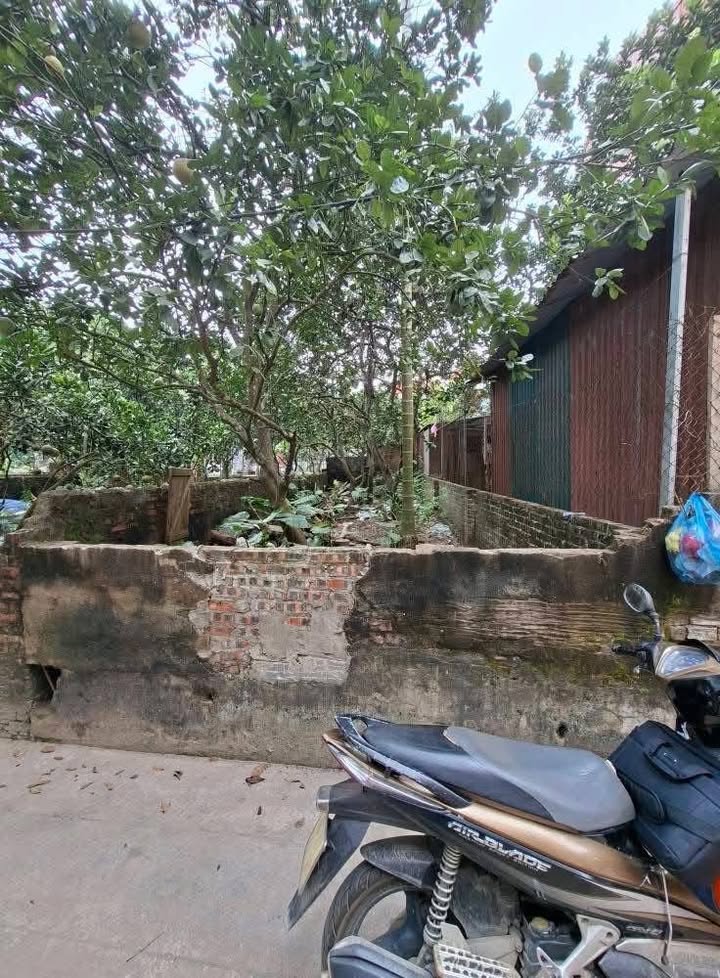 Đất nền Vạn Phúc, Thanh Trì 50m² giá 3.64 tỷ - Đầu tư sinh lời ngay!