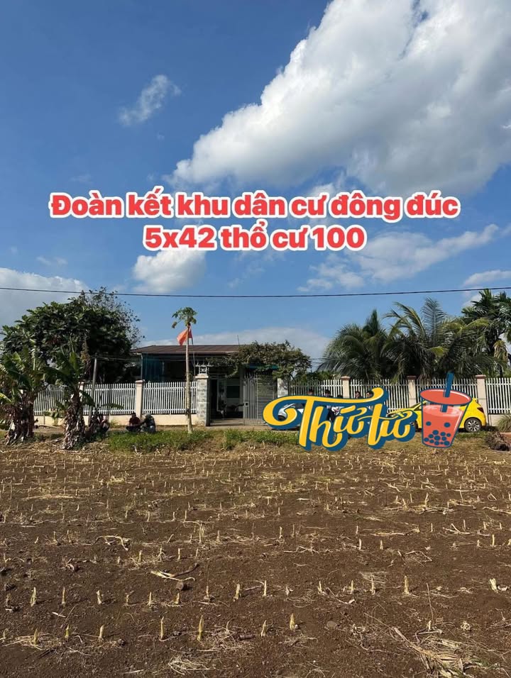 Đất thổ cư 210m² Đoàn Kết, Hòa Khánh giá chỉ 625 triệu - Nhanh tay sở hữu!