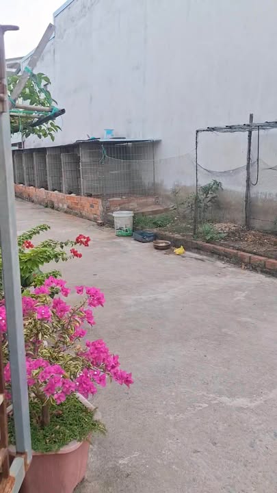 Nhà riêng tại KP Chợ 1, Thị trấn Vàm Láng, 225m² giá 1 tỷ - Sổ hồng chính chủ!