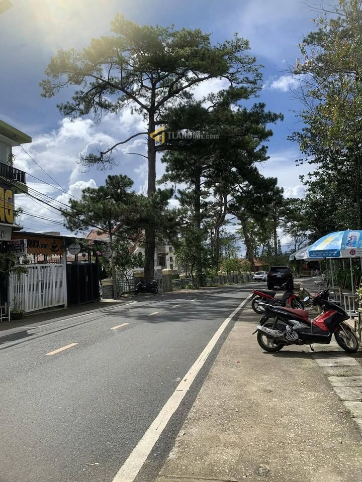 Nhà phố hai mặt tiền Đà Lạt 307.1m² giá 35 tỷ - Đầu tư sinh lời hấp dẫn!