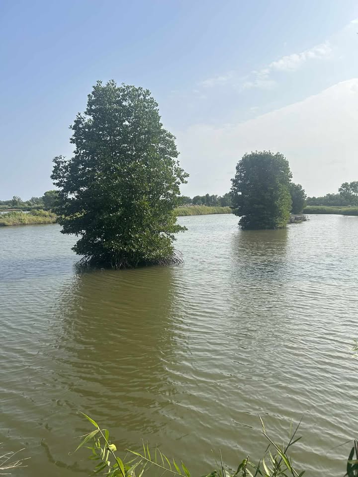 Đất Nền 10 Công Tại Tạ An Khương, Đầm Dơi Giá 1.1 Tỷ - Cơ Hội Đầu Tư Hiếm Có!