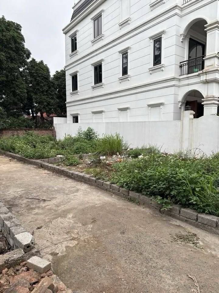 Đất nền Văn Bình, Thường Tín 48m² giá thương lượng - Vị trí đắc địa, giao thông thuận tiện!