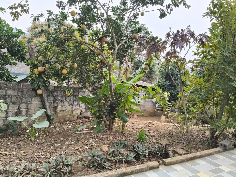 Lô đất nghỉ dưỡng Ba Vì 605m² giá 1 tỷ - View đẹp, không gian yên tĩnh!