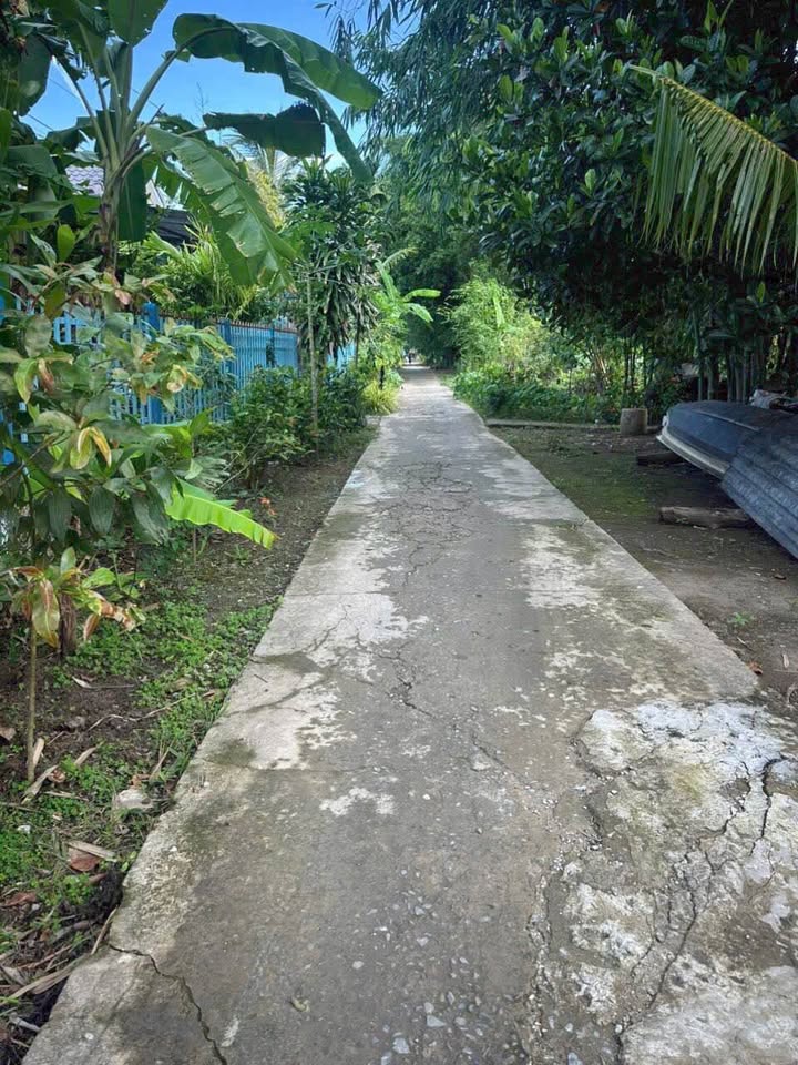 Đất nền xã Tân Phước Hưng, huyện Phụng Hiệp, Hậu Giang 500m² - Giá chỉ 250 triệu!