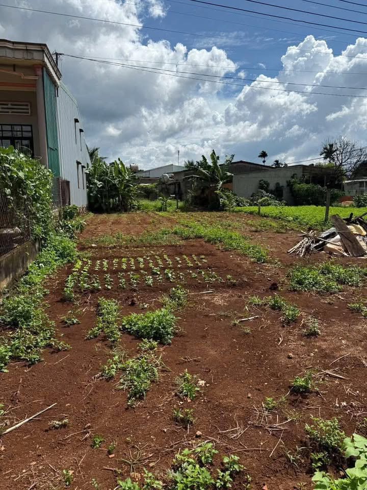 Đất nền Quảng Phú, Cư M'gar, Đắk Lắk 275m² giá 5.39 tỷ - Sổ hồng chính chủ, thổ cư 110m²!