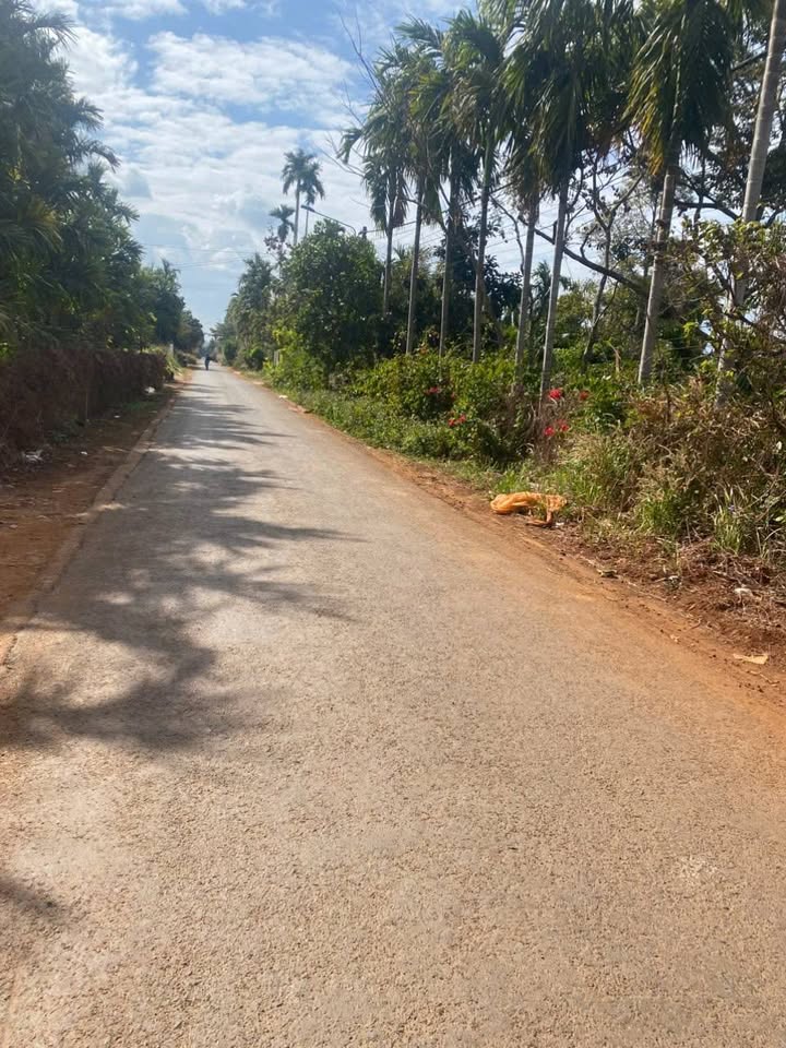 Đất nền kinh doanh tại Hẻm 61 Nguyễn Thái Bình, Buôn Ma Thuột - 1000m² chỉ 34.9 tỷ!