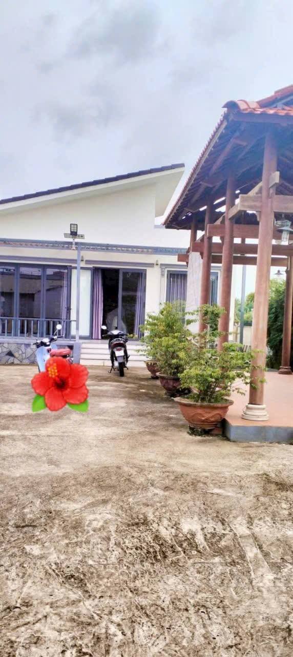 Farm đất Bến Tre 820m² giá 4 tỷ - Không gian nghỉ dưỡng lý tưởng!