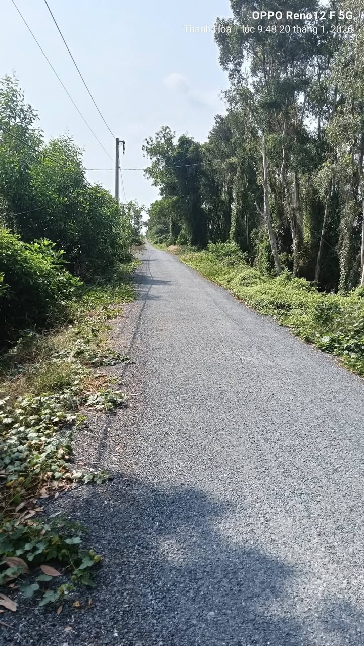 Đất Farm 5.000m² tại Xã Tân Phước, Gò Công Đông - Giá chỉ 850 triệu!