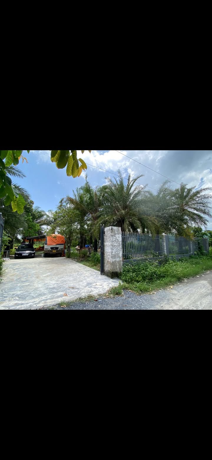 Đất nền mặt tiền đường 156, xã Bình Mỹ, Củ Chi 1399m² - Giá ưu đãi 15,5 tỷ!