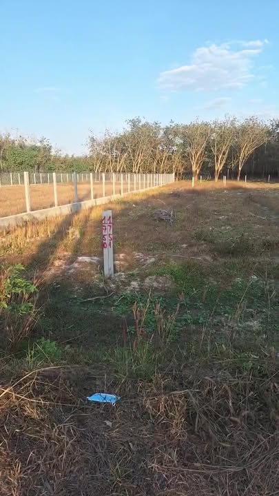 Đất nền xã Long Thuận, Tây Ninh 1470m² giá 1.75 tỷ - Cơ hội đầu tư hấp dẫn!