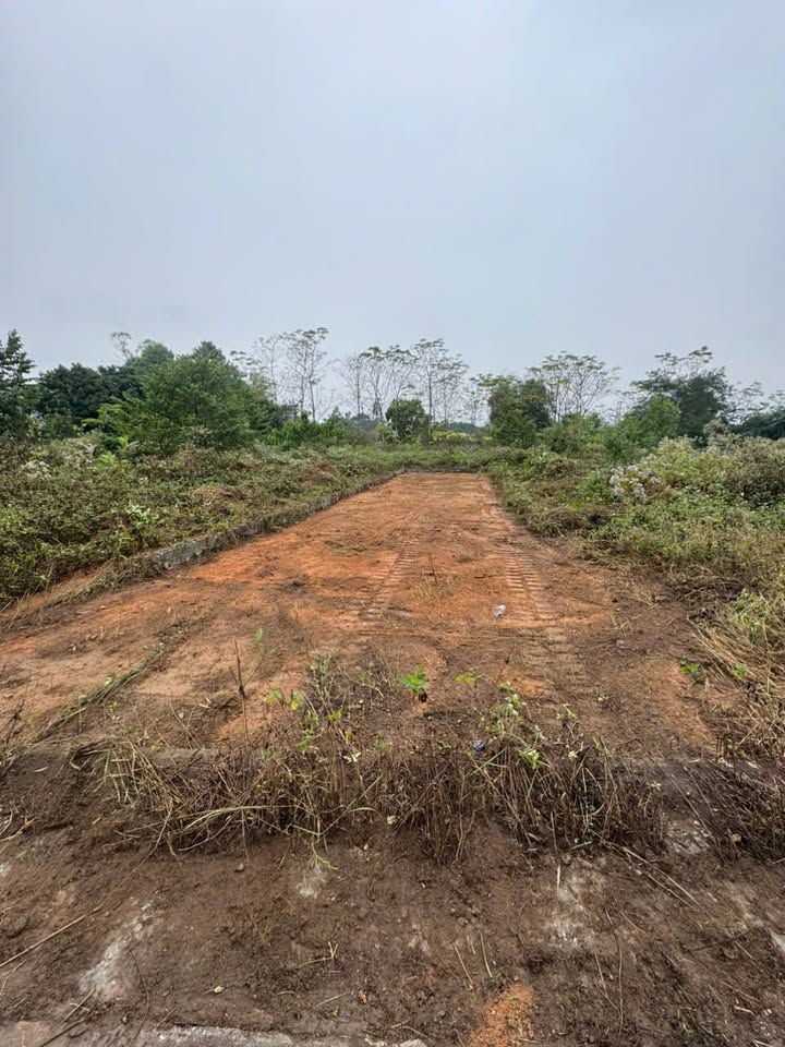 Đất thổ cư Thôn Mé, Tam Dương 111.6m² chỉ 800 triệu - Cơ hội đầu tư tuyệt vời!