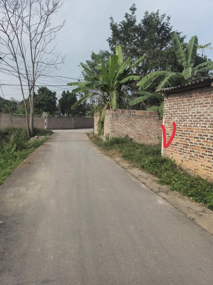 Đất 2 Mặt Tiền Thôn Yên Sơn, Tam Dương 100m² - Đầu Tư Tiềm Năng