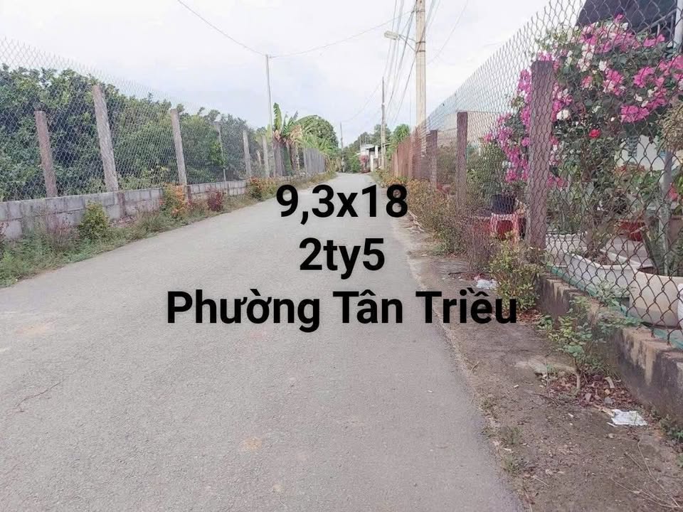 Đất thổ cư Phường Tân Triều 167m² giá 2,5 tỷ - Sổ đỏ chính chủ!