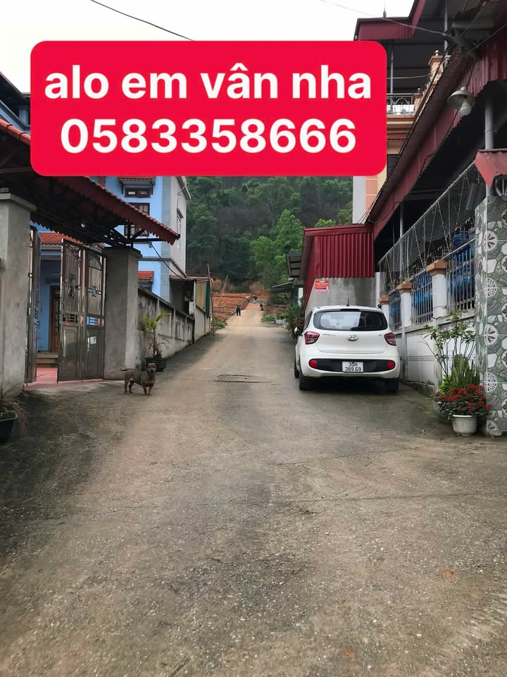 Đất nền dự án Vingroup tại núi Chè, xã Việt Đoàn, 85m² giá 1 tỷ - Đầu tư sinh lời tuyệt vời!