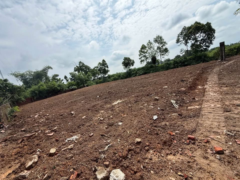 Lô đất phân lô Gò Sống, Tản Lĩnh 670m² - Cơ hội đầu tư hiếm có!