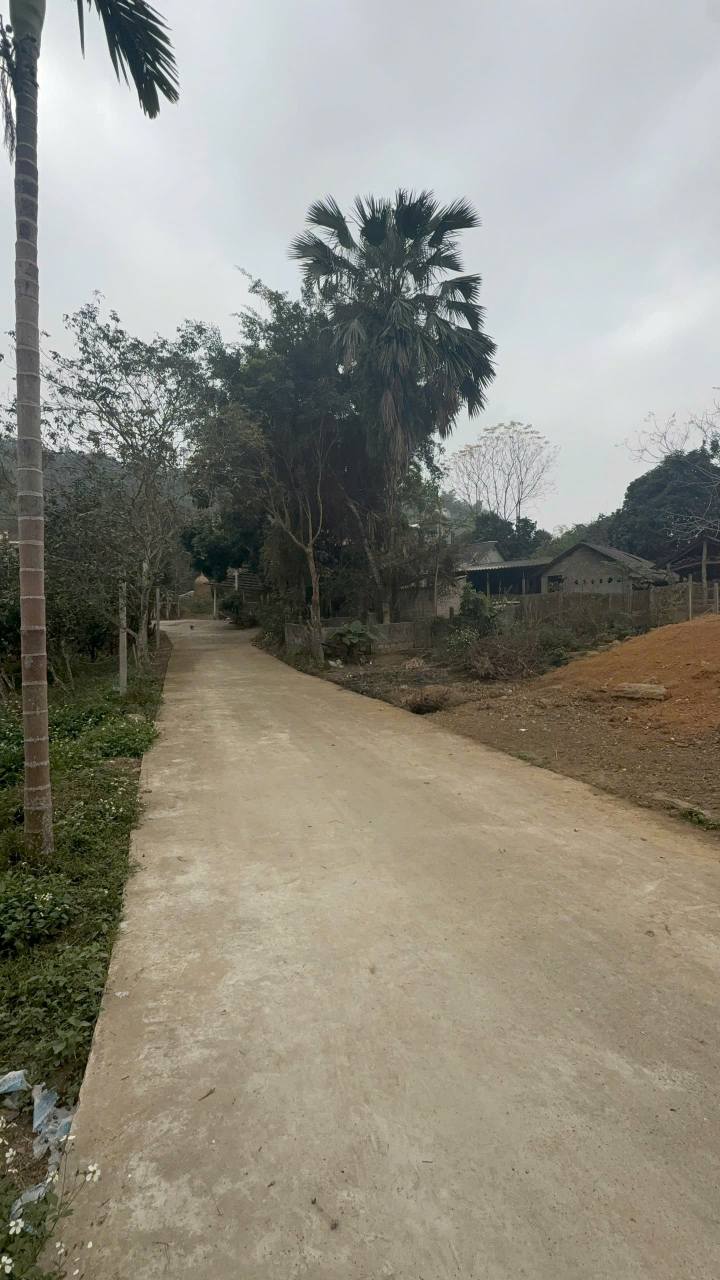 Đất thổ cư Xã Lưỡng Vượng, Tuyên Quang 214m² giá 680 triệu - Sổ đỏ chính chủ