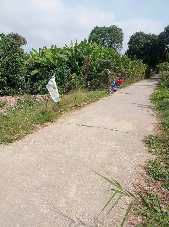 Đất nền mặt tiền đường bê tông An Thạnh Trung 2000m² giá 1.2 tỷ - Kinh doanh thuận lợi!