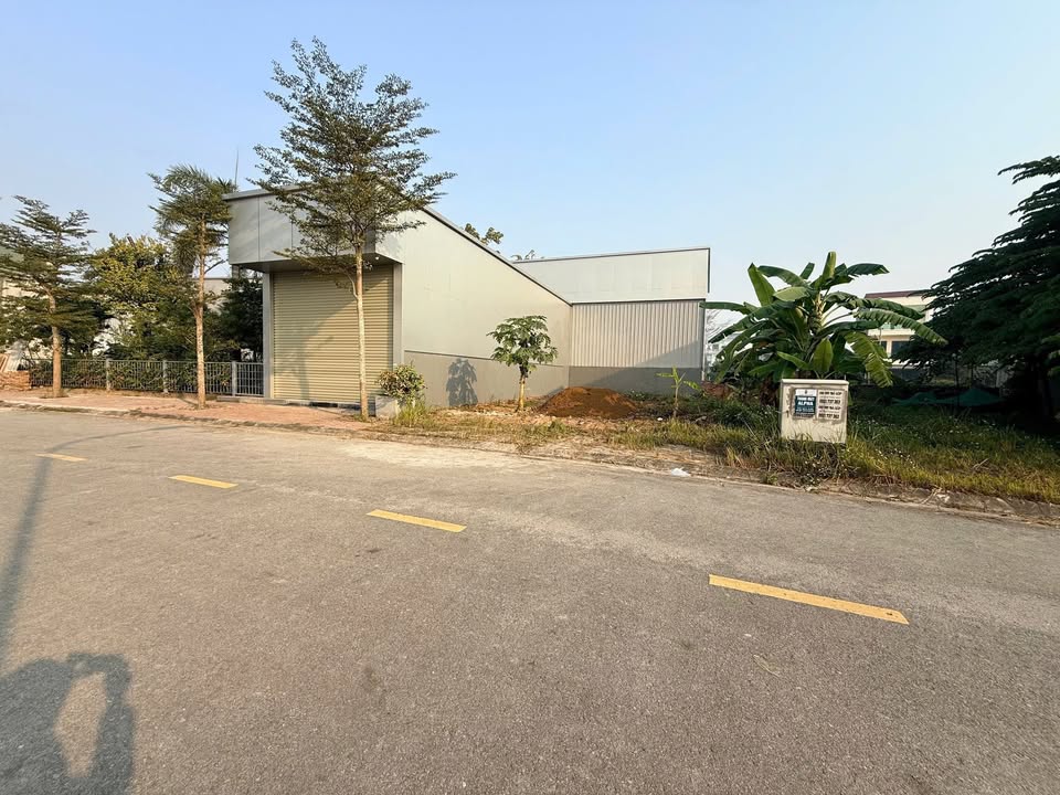 Đất nền đẹp đường Vũ Thê Lang, Thanh Miếu, Việt Trì 90m² - Giá chỉ 4 tỷ!