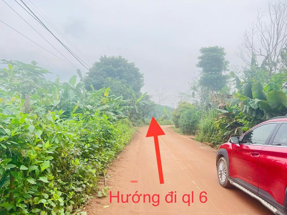 Đất thổ cư tại xóm Tân Vinh, Huyện Tân Lạc, 408m² - Tiềm năng đầu tư lớn!