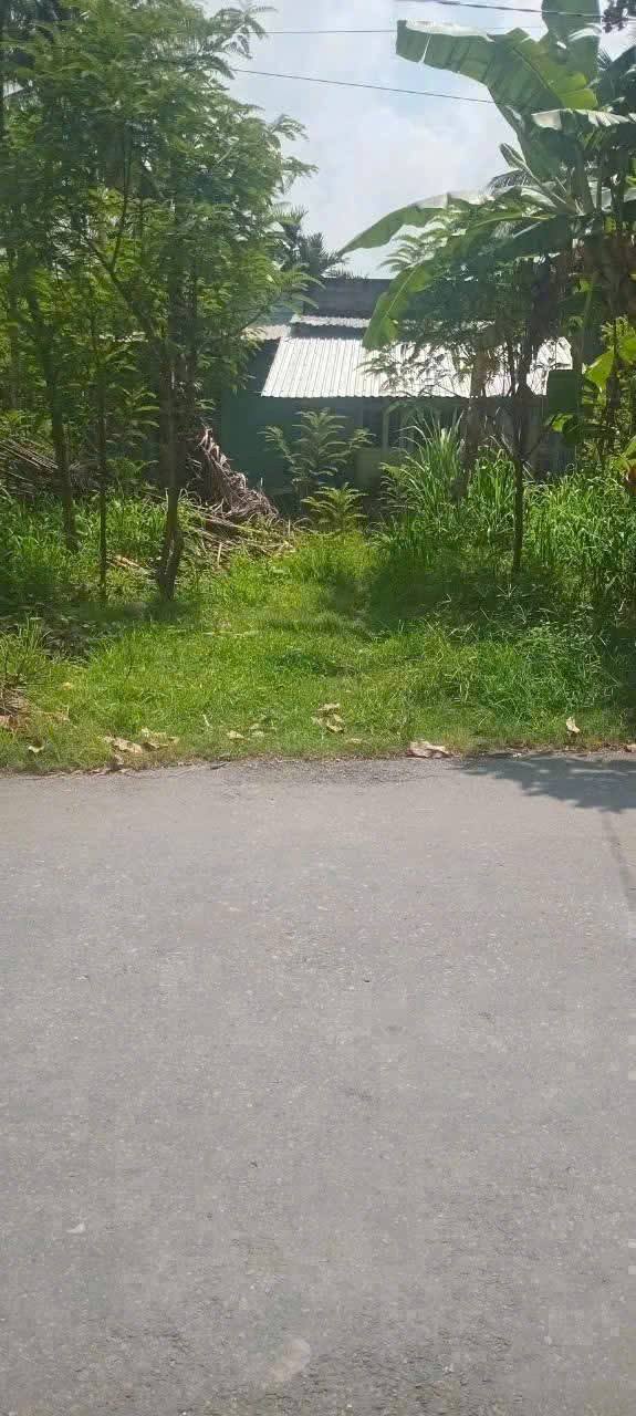 Đất nền Thủ Ngữ, Lương Hòa 1267m² giá 1.9 tỷ - Đầu tư sinh lời ngay!