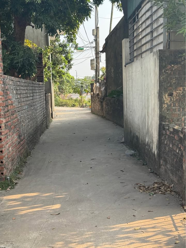 Đất nền xã Phú Sơn, Gia Lâm 45m² giá 2 tỷ - Đường trước nhà rộng rãi!