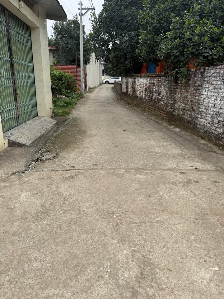 Đất thổ cư 100m² tại Trai Hồ, Sơn Tây - Giá chỉ 2 tỷ, cơ hội đầu tư tuyệt vời!