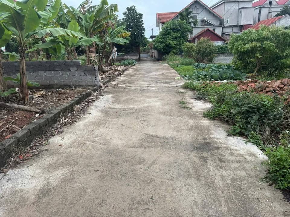 Đất thổ cư Ba Đông, Phan Sào Nam 60m² giá 500 triệu - Cơ hội đầu tư tuyệt vời!