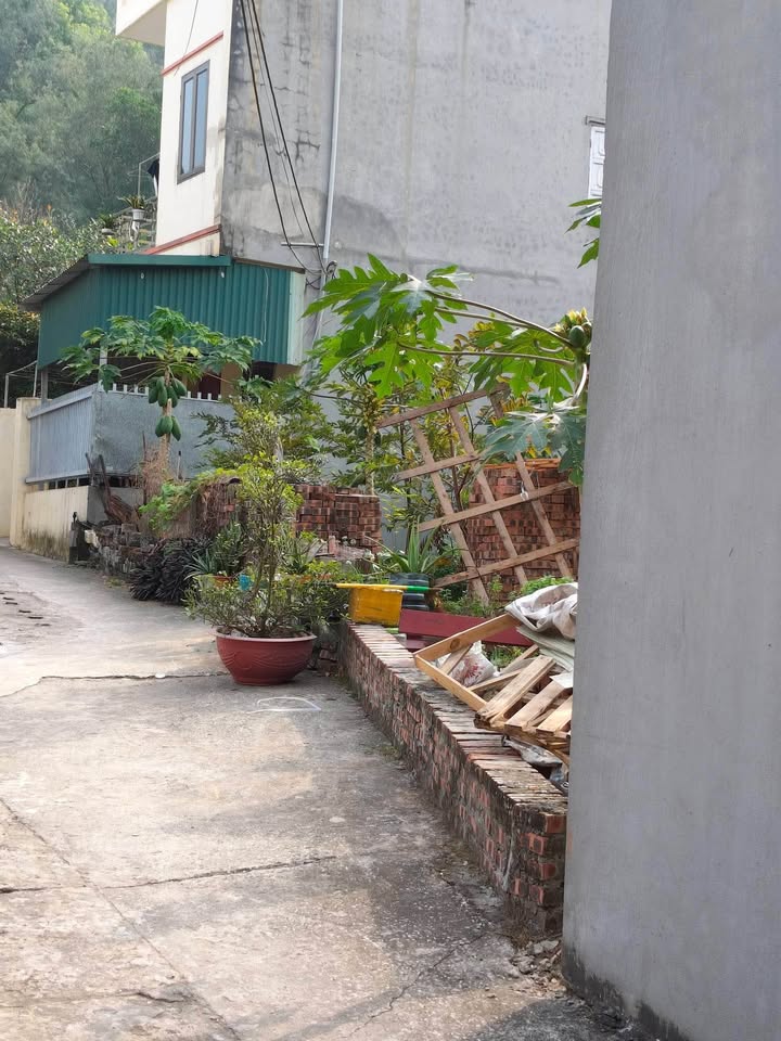 Đất thổ cư Phường Nam Sơn 78m² giá 2 tỷ - Đường ô tô đẹp, gần khu công nghiệp!