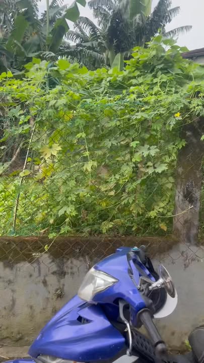 Đất nền Phước Mỹ, Điện Phước, 180m² giá chỉ 500 triệu - Cơ hội đầu tư hấp dẫn!