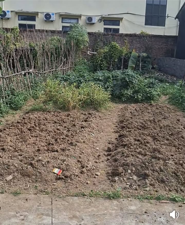 Đất nền Phú Thọ 99m² giá chỉ 600 triệu - Đầu tư sinh lời ngay!