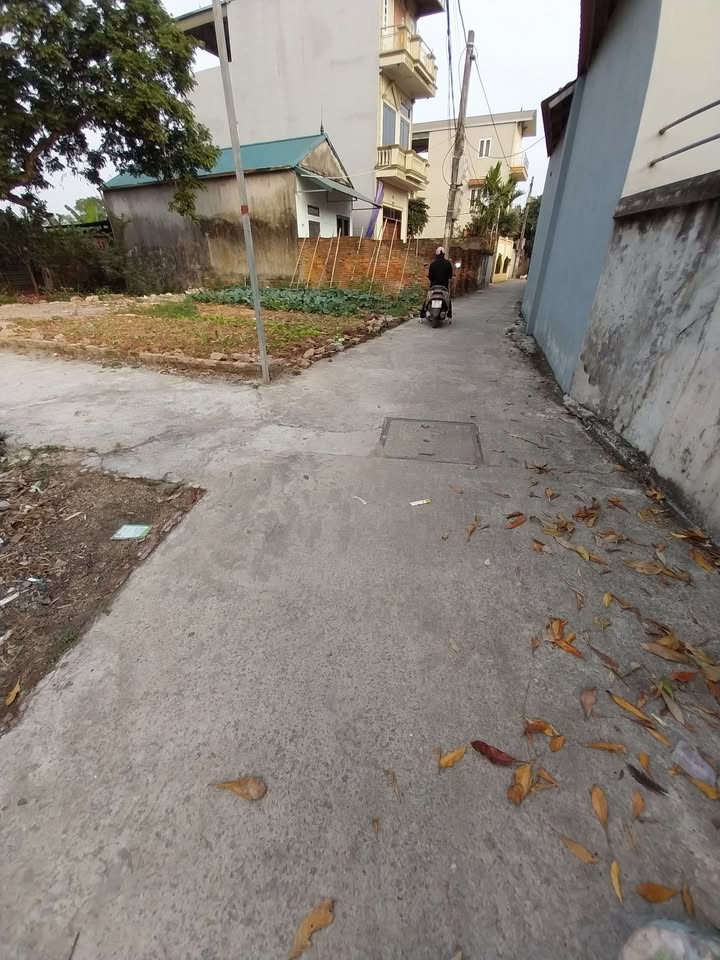 Đất nền thôn Kim Lâm, xã Thanh Oai, 60m² - Lô góc tiềm năng đầu tư!