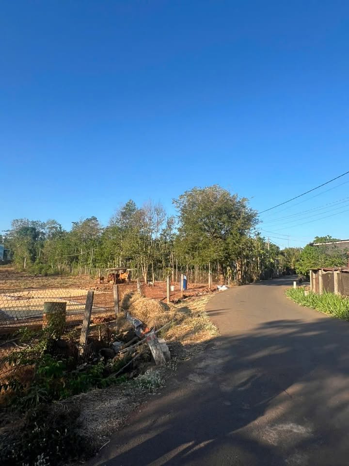 Đất nền Bầu Chính, Châu Đức 900m² giá 2.95 tỷ - Đầu tư sinh lời tốt!