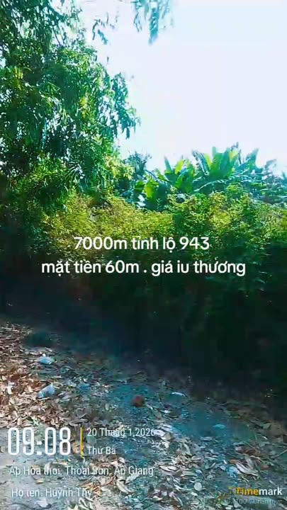 Đất nền 7000m² tại Tỉnh lộ 943, Long Xuyên - Đầu tư sinh lời ngay!