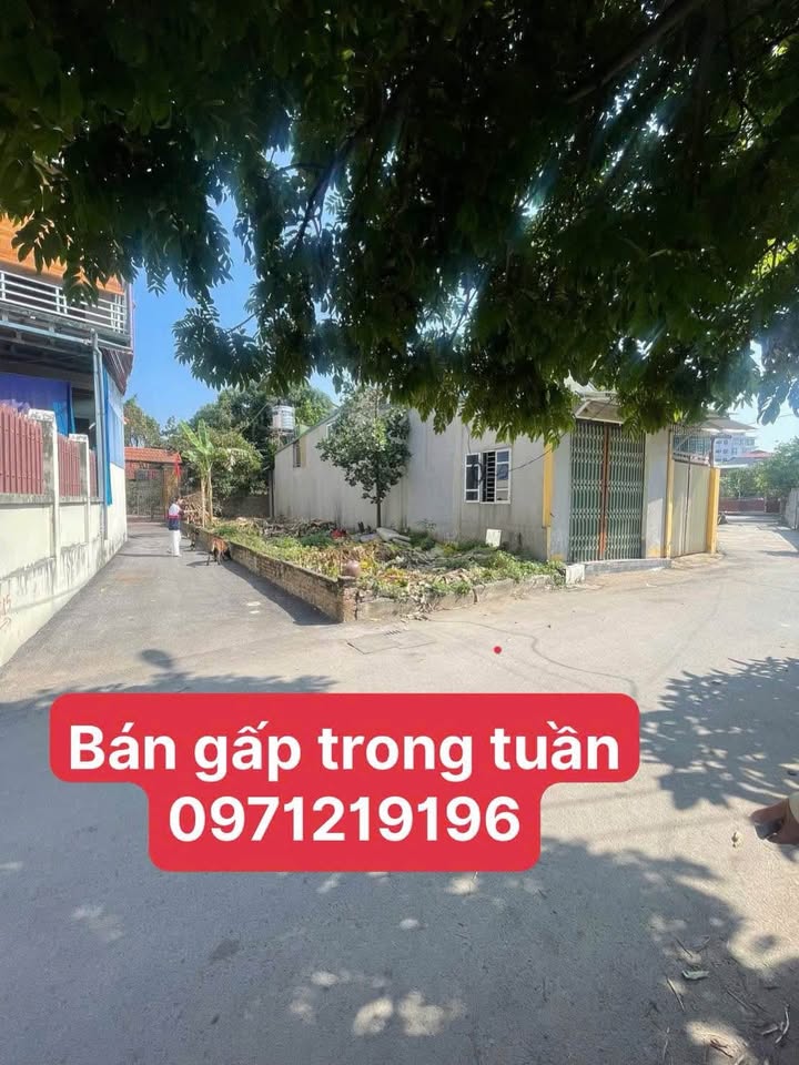 Đất nền lô góc Trần Hưng Đạo, Phúc Yên 97m² - Giá tốt nhất khu vực!