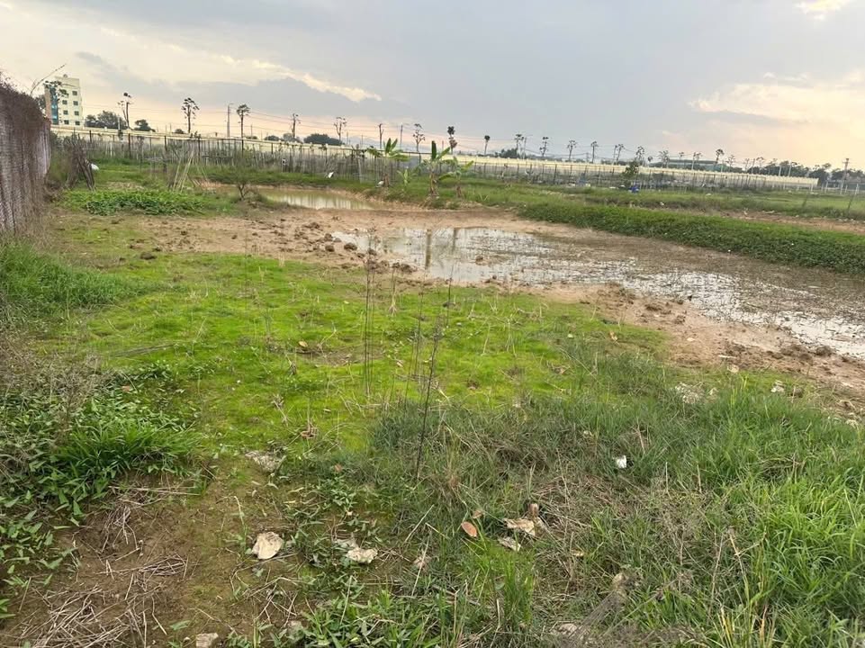 Đất Farm Xã Dị Nậu - 2000m² giá thỏa thuận - Tiềm năng phát triển lớn!