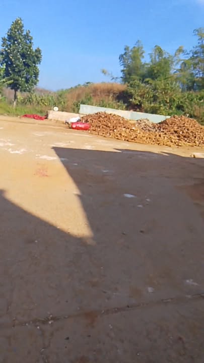 Đất thổ cư 1500m² tại xã Đắk Xú, huyện Ngọc Hồi giá chỉ 2 tỷ - Cơ hội đầu tư hấp dẫn!