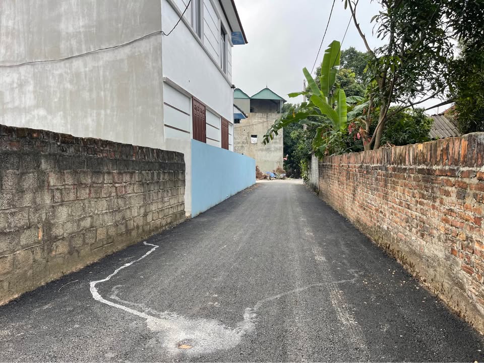 Đất nền Kim Long, Tam Dương 104.3m² giá chỉ 900 triệu - Đầu tư sinh lời ngay!