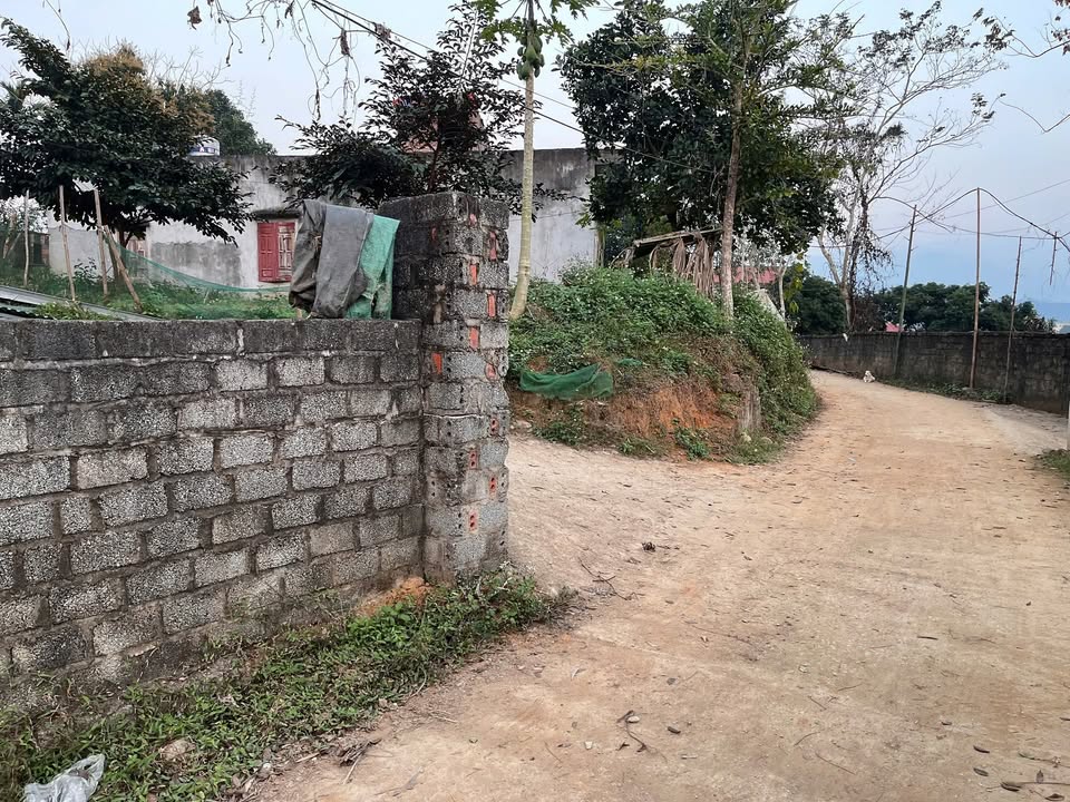 Đất nghỉ dưỡng xã Văn Miếu - Phú Thọ 2.270m² giá thỏa thuận - View đồi chè tuyệt đẹp!