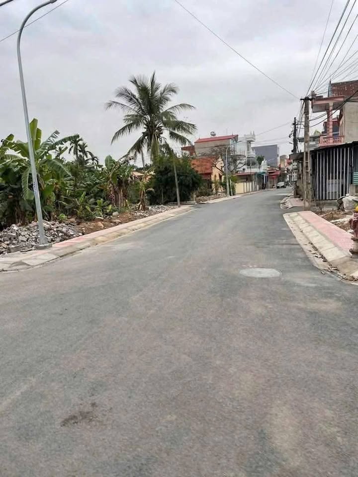 Đất đầu tư tuyến 2 đường 351, xã Nam Sơn, 293m² - Cơ hội sinh lời tuyệt vời!