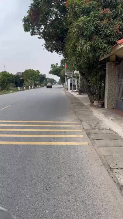 Đất đẹp Câu Thượng, Quang Hưng, An Lão 117m² giá 900 triệu - Cơ hội đầu tư hấp dẫn!