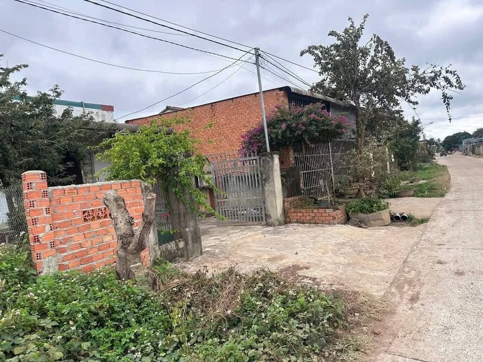 Đất thổ cư 350m² tại Thôn Kim Phát, giá chỉ 700 triệu - Cơ hội đầu tư tuyệt vời!