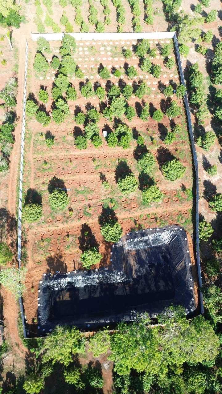 Đất Farm 3.868m² tại Buôn Hồ chỉ 2.75 tỷ - Đầu tư sinh lời ngay!