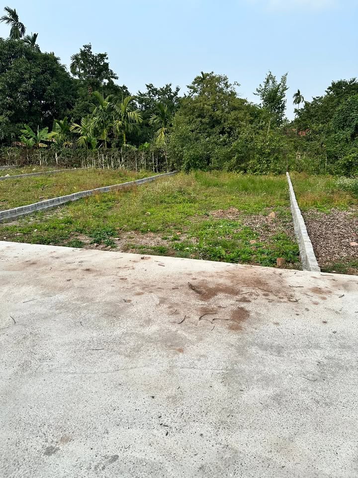 Đất nền 100m² tại Xã Công Lý, Huyện Lý Nhân chỉ 1 tỷ - Sổ đỏ chính chủ!