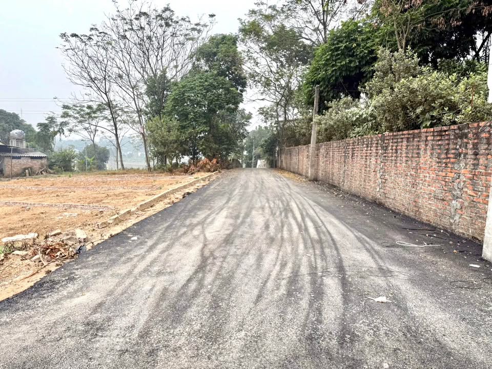 Đất nền KCN Tam Dương 2 116m² giá chỉ 8xx triệu - Cơ hội đầu tư hấp dẫn!