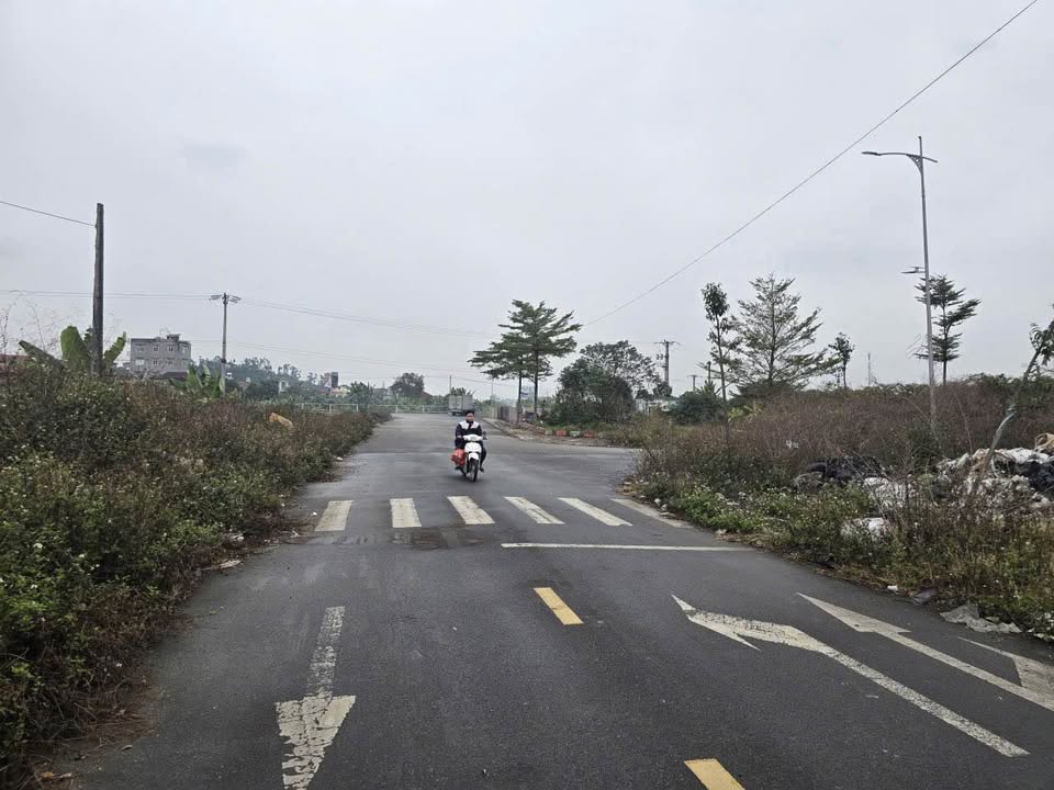 Đất nền góc 2 mặt tiền Liên Bão, 196m² chỉ 7.84 tỷ - Tiềm năng đầu tư lớn!