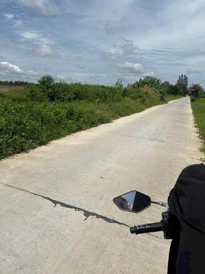 Đất ruộng mặt tiền Đường Trần Phú, Huyện Châu Thành, 10.000m², Giá 5.5 tỷ - Cơ hội đầu tư tuyệt vời!