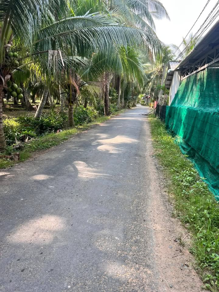 Đất thổ cư 1080m² tại Xã Châu Hưng - Giá chỉ 1.3 tỷ VND